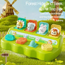 Interactive Hide and Seek Up Box – Educational Toy for Toddlers
